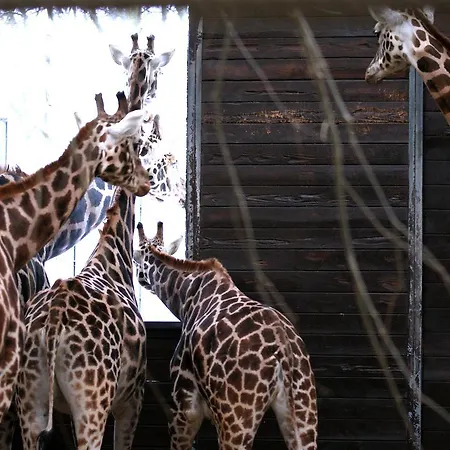 Travel24 מלון 3*