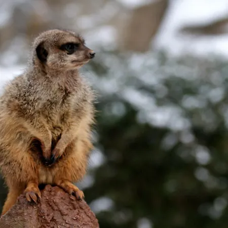 Travel24 מלון 3*